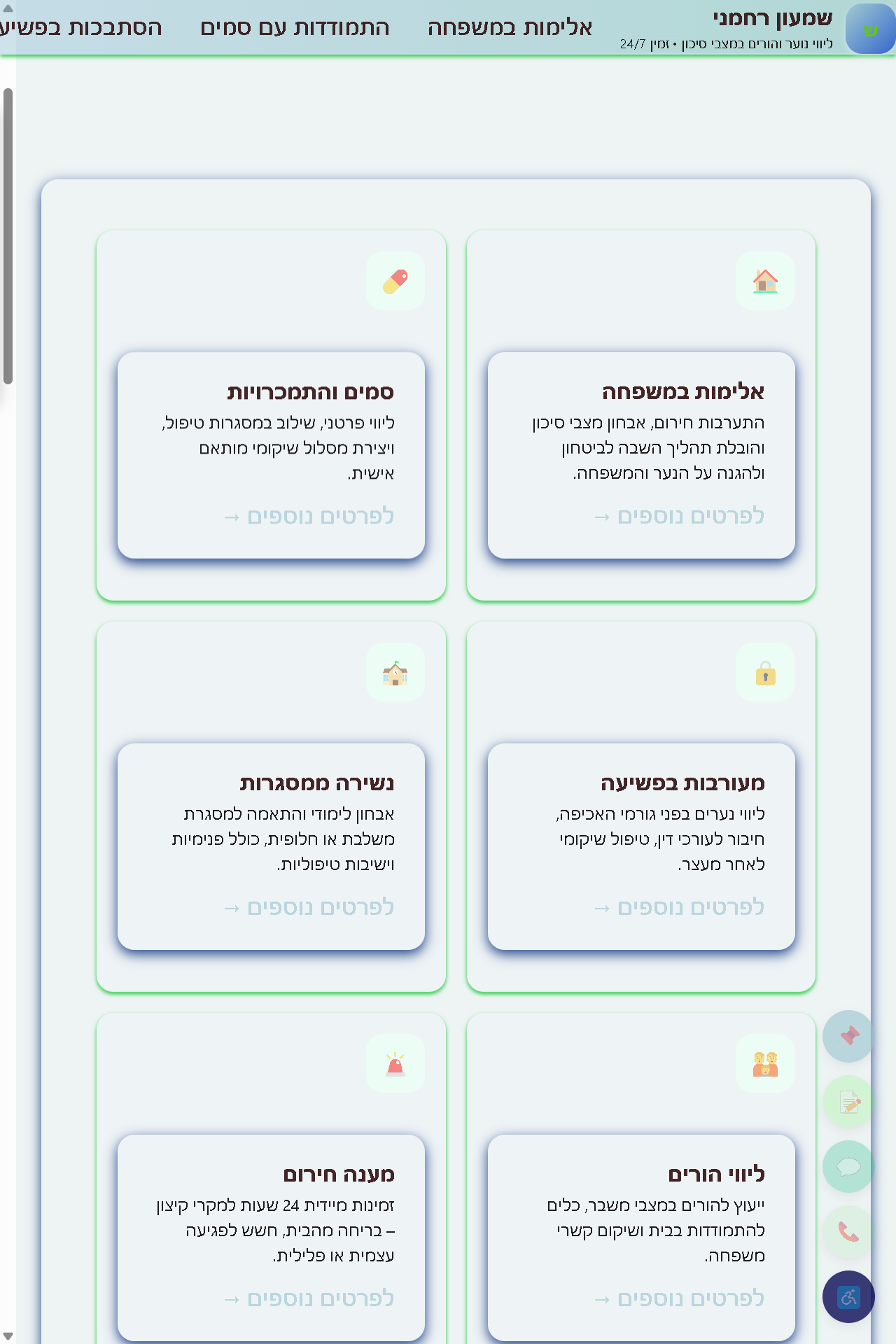 פרויקט נוסף